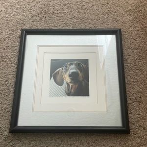 Dachshund dog photo framed photo print wall art
